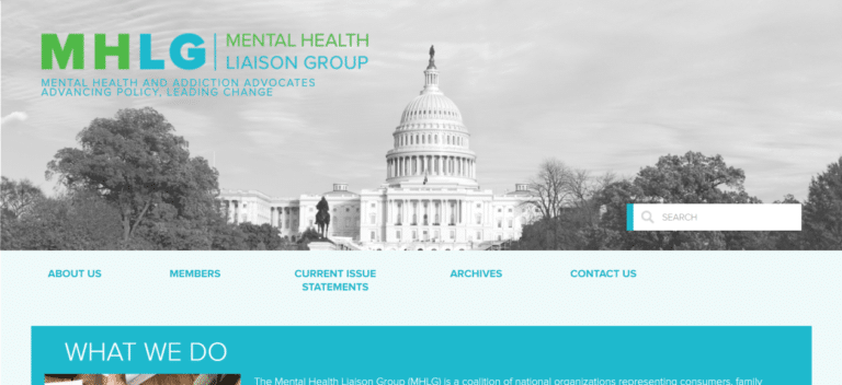 mental-health-liaison-group-rashida-asante-eccleston